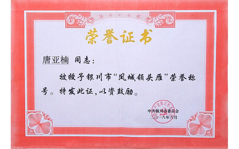 唐亞楠被授予銀川市“鳳城領(lǐng)頭雁”榮譽(yù)稱號